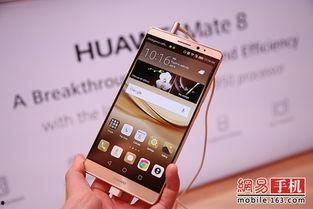 全部国产手机视频