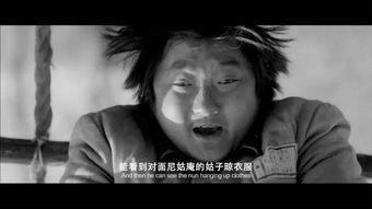 500部国产经典视频,500部国产经典视频的辉煌历程