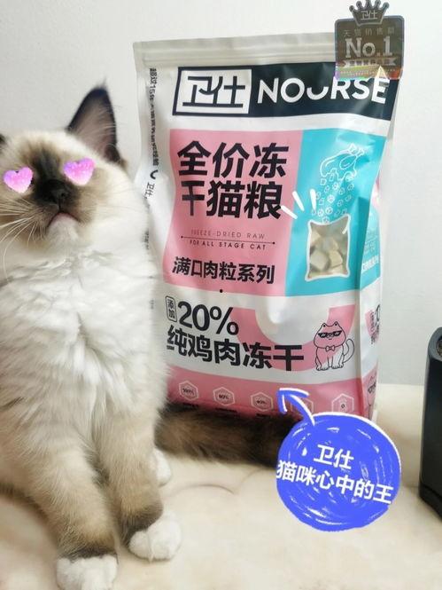 猫咪猫粮国产测评视频,猫咪营养与健康的选择解析