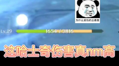 国产日韩aaa在线视频,激情四溢的视听盛宴