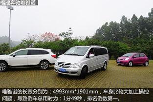 国产mpv停车视频