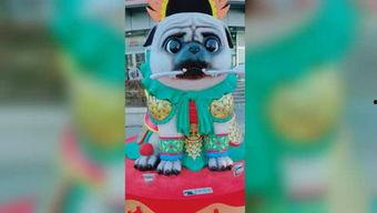 国产小青蛙最新视频直播,趣味互动，萌态十足！