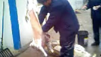 国产sM梱绑打屁股视频,揭秘成人娱乐的隐秘世界