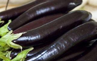 国产精品茄子视频,探寻茄子美食的独特魅力
