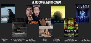 国产获奖短片视频,国产获奖短片背后的故事与魅力