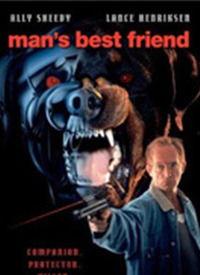 国产小视频合集thunder,Thunder中的精彩瞬间回顾