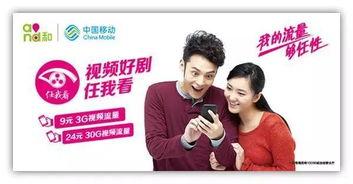 国产免费任我鲁视频,国产免费视频平台的创新与探索