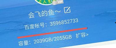 国产外露视频百度云